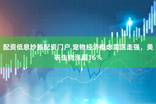 配资低息炒股配资门户 宠物经济概念震荡走强，美农生物涨超16%